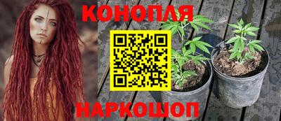 индика Тара