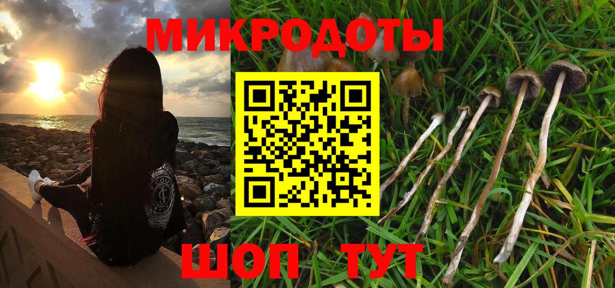 Галлюциногенные грибы Psilocybe  Псилоцибиновые грибы мицелий  Кувандык  Вход с VPN 