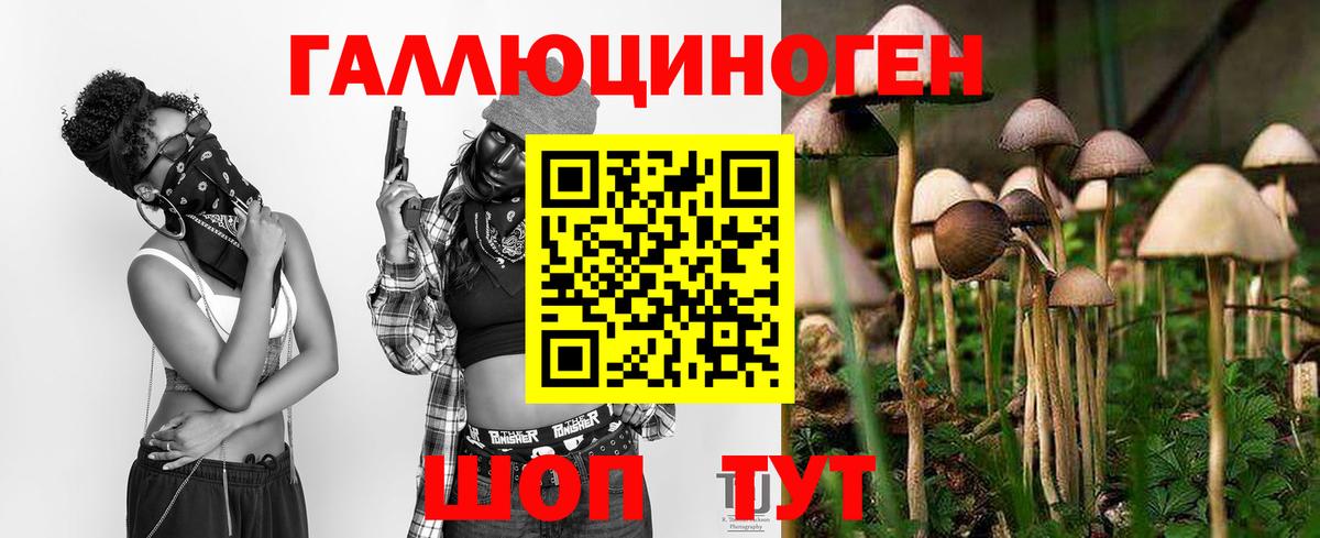 Псилоцибиновые грибы прущие грибы Кувандык